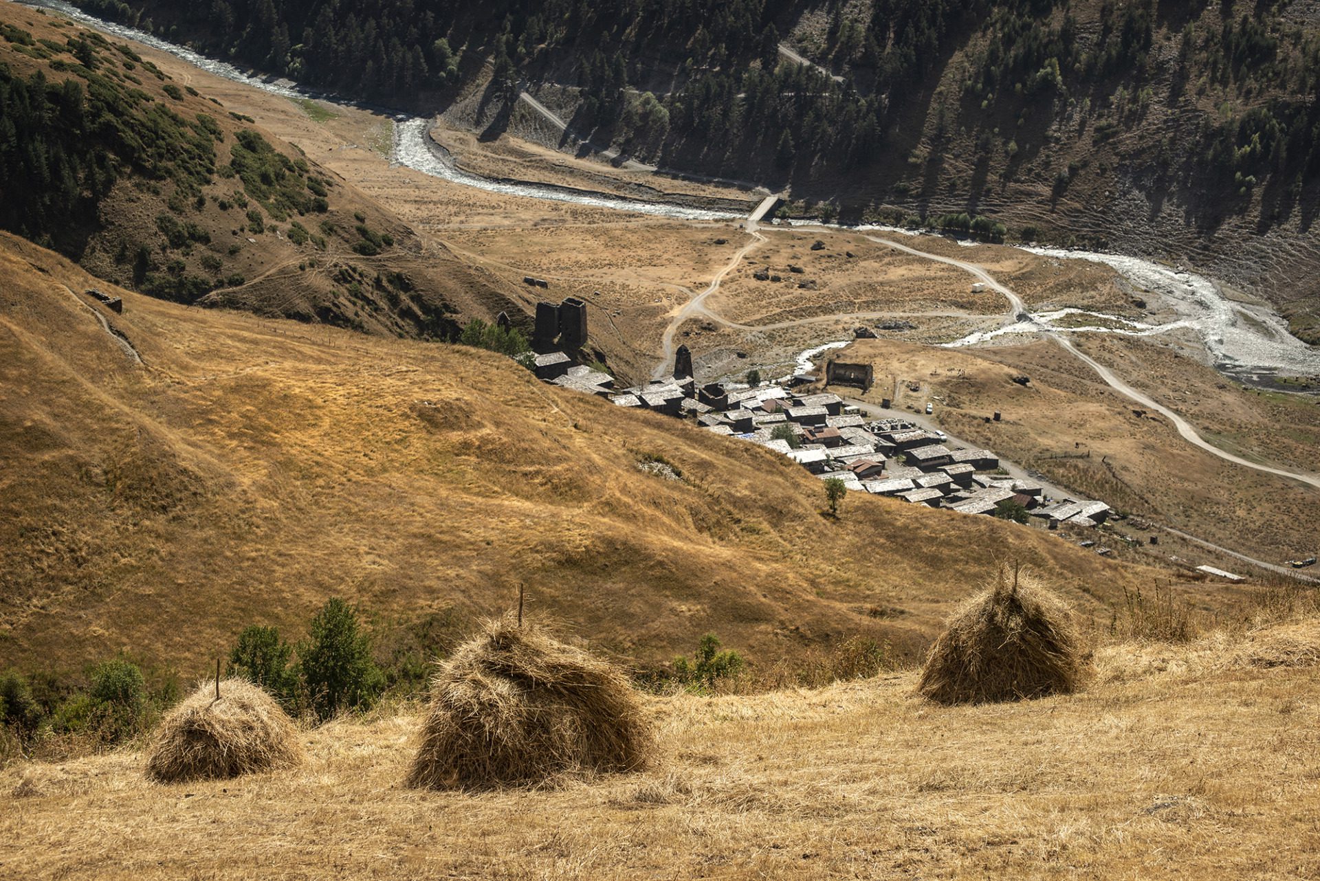 Dartlo, fot. Magdalena Konik