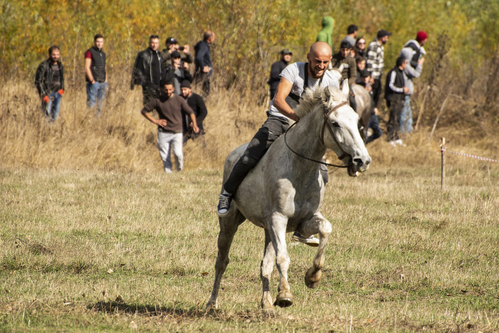 Fot Magdalena_Konik_wyścig_Tianeti