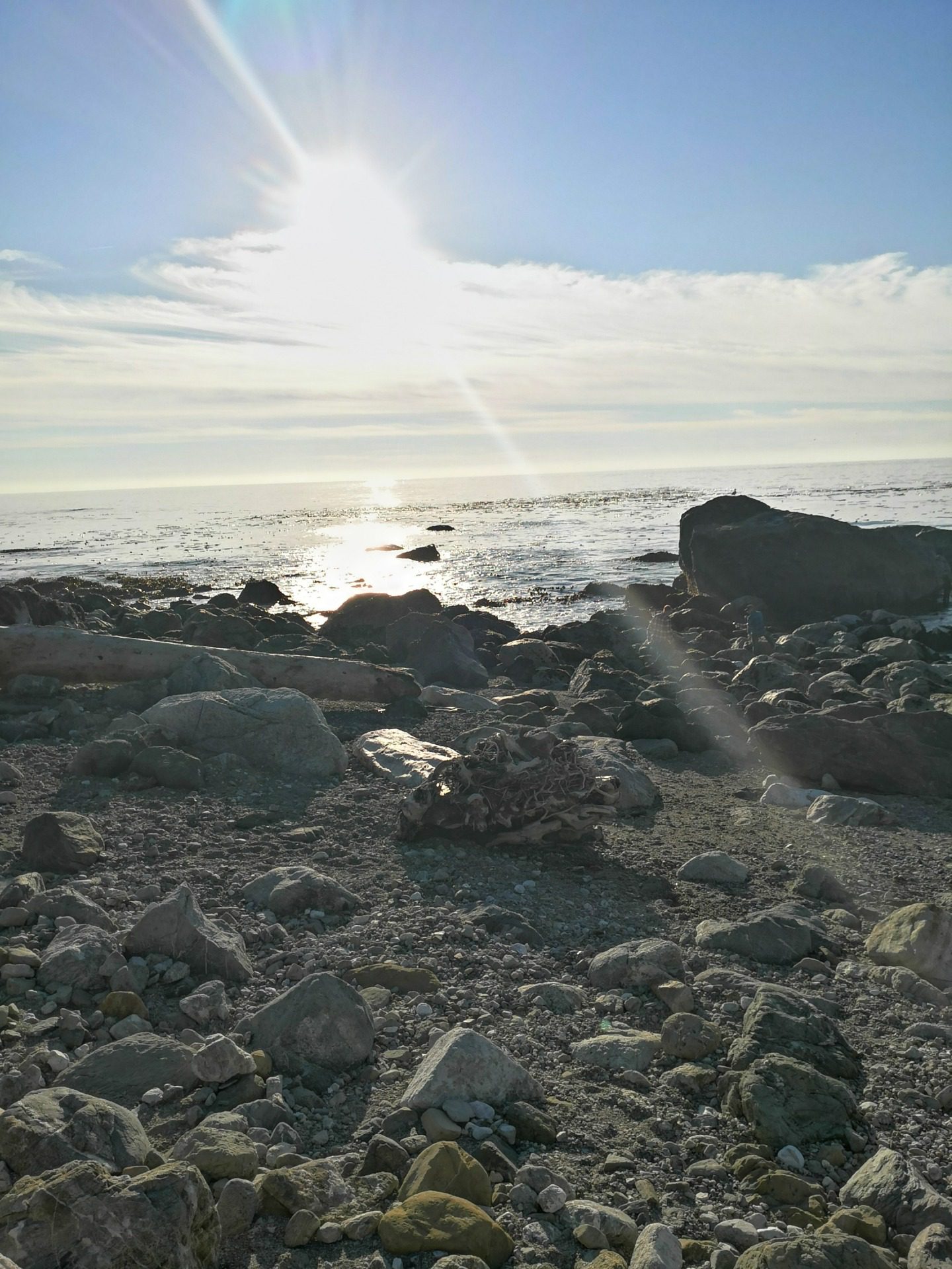 Pacific Coast Highway, fot. Aleksandra Karkowska