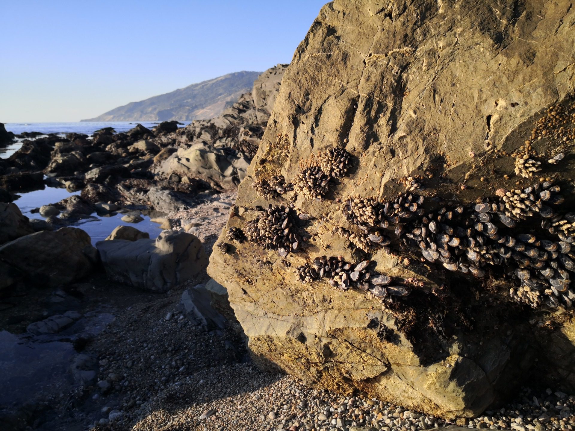 Pacific Coast Highway, fot. Aleksandra Karkowska