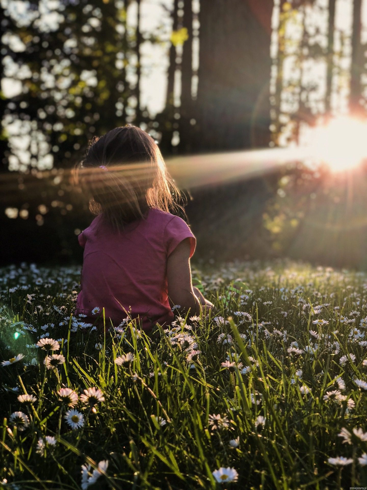 Wiosenne inspiracje na zabawy z dzieckiem, fot. Unsplash