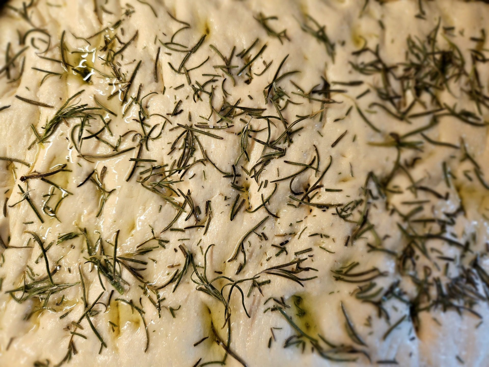 Gotuj z Głową: focaccia, fot. Marta Głowacka