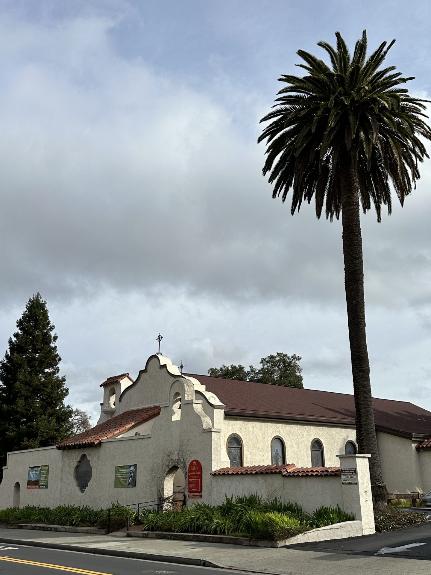 Los Gatos, fot. Aleksandra Karkowska
