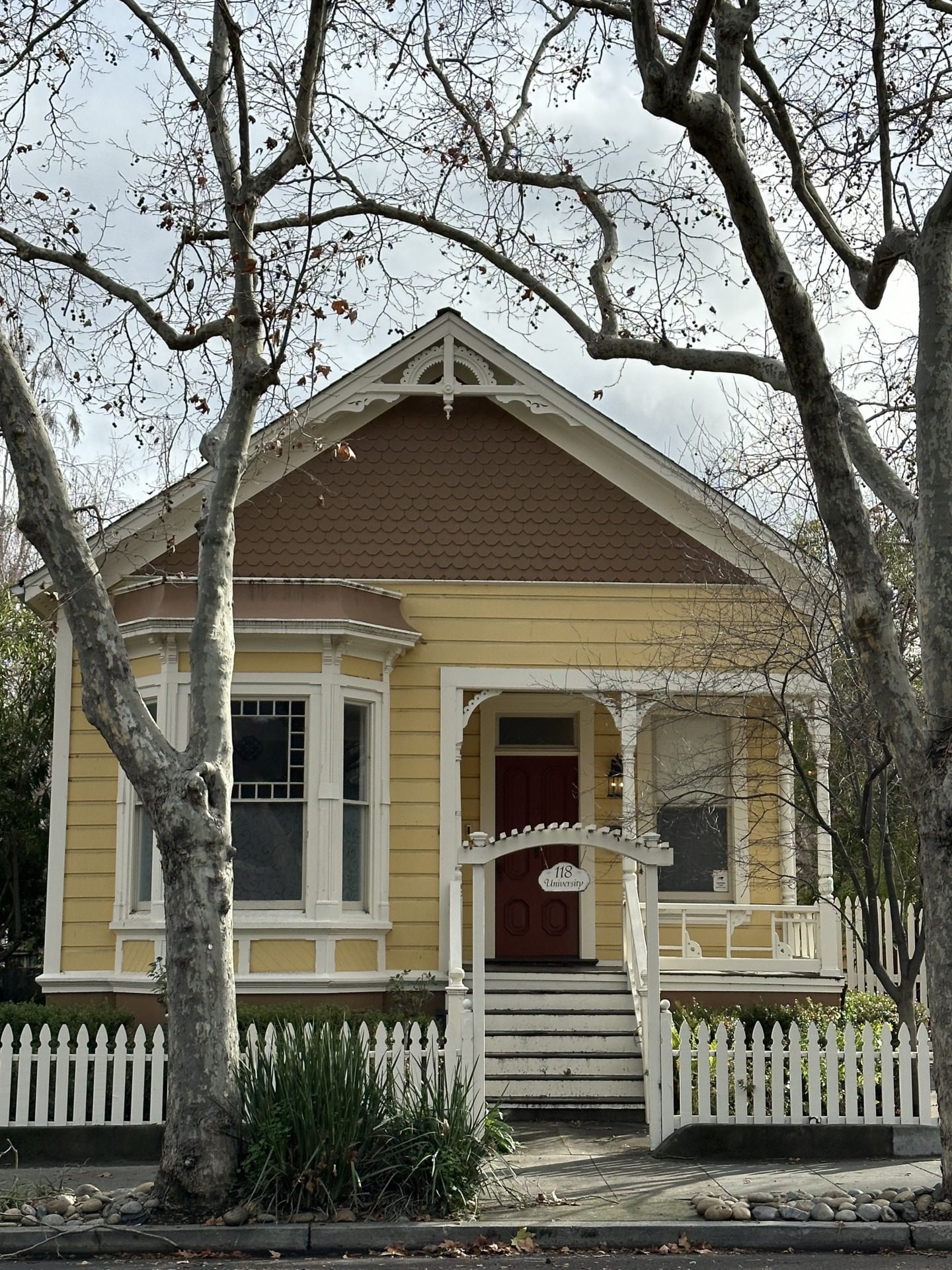 Los Gatos, fot. Aleksandra Karkowska