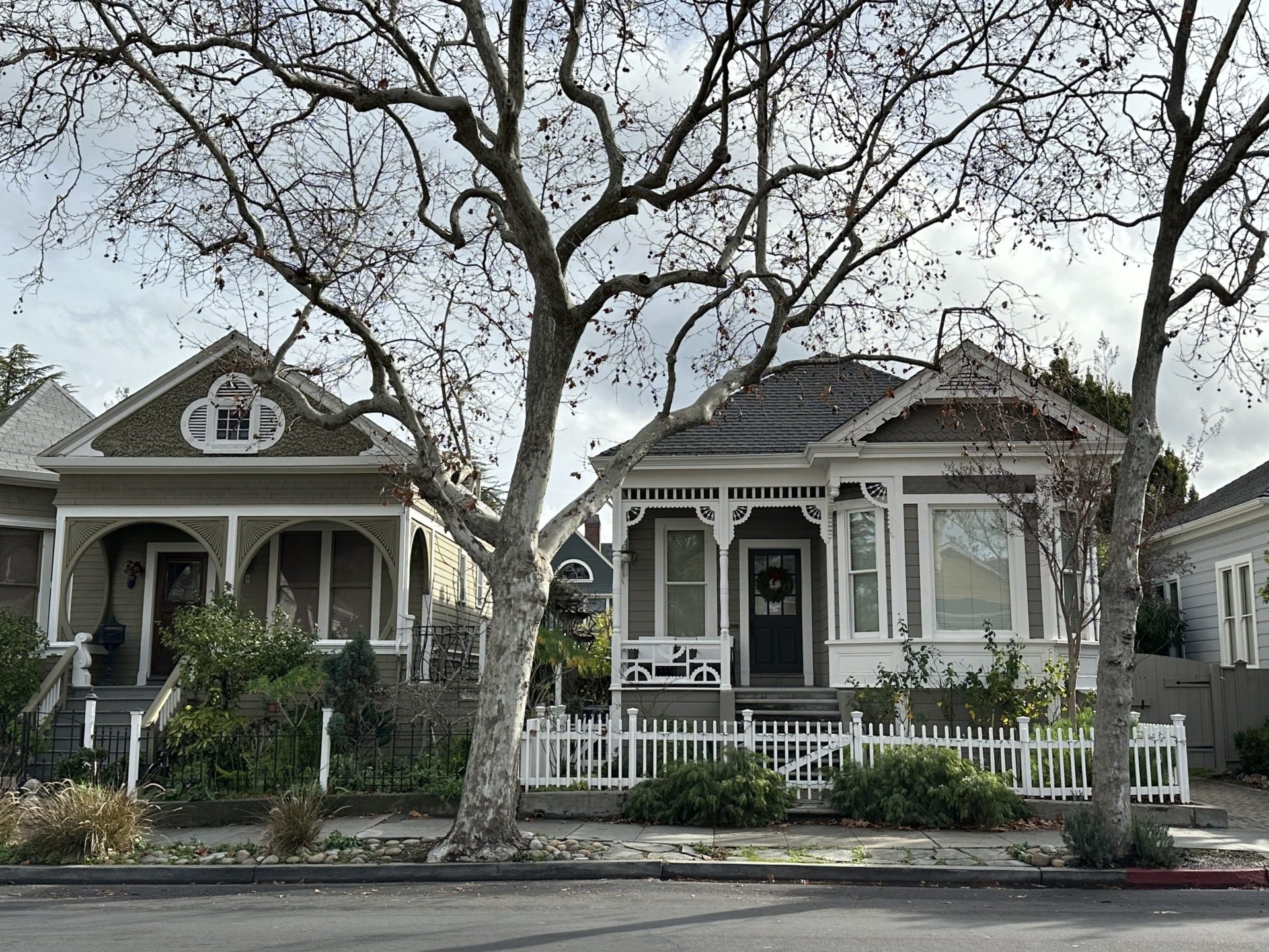 Los Gatos, fot. Aleksandra Karkowska