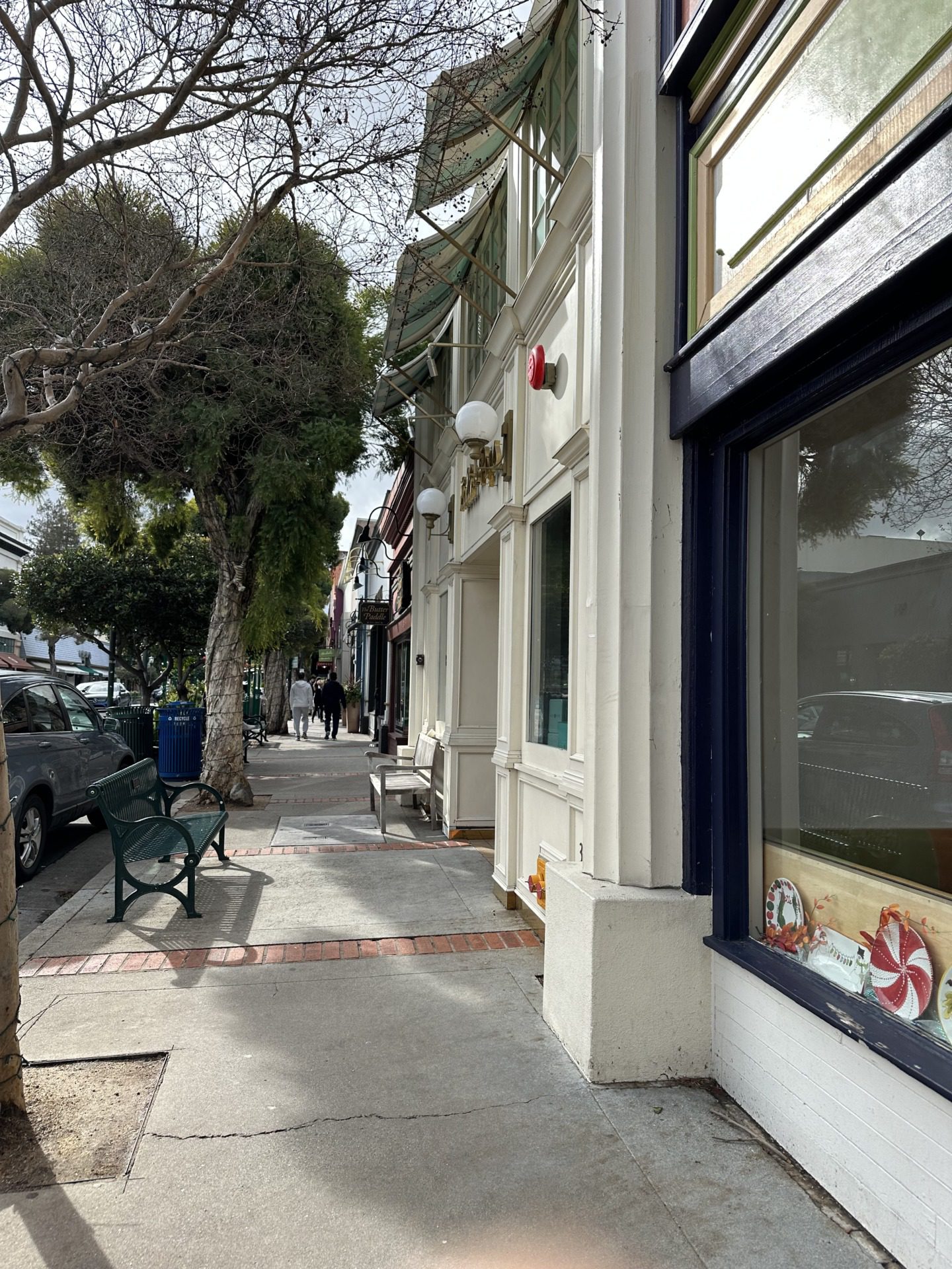 Los Gatos, fot. Aleksandra Karkowska