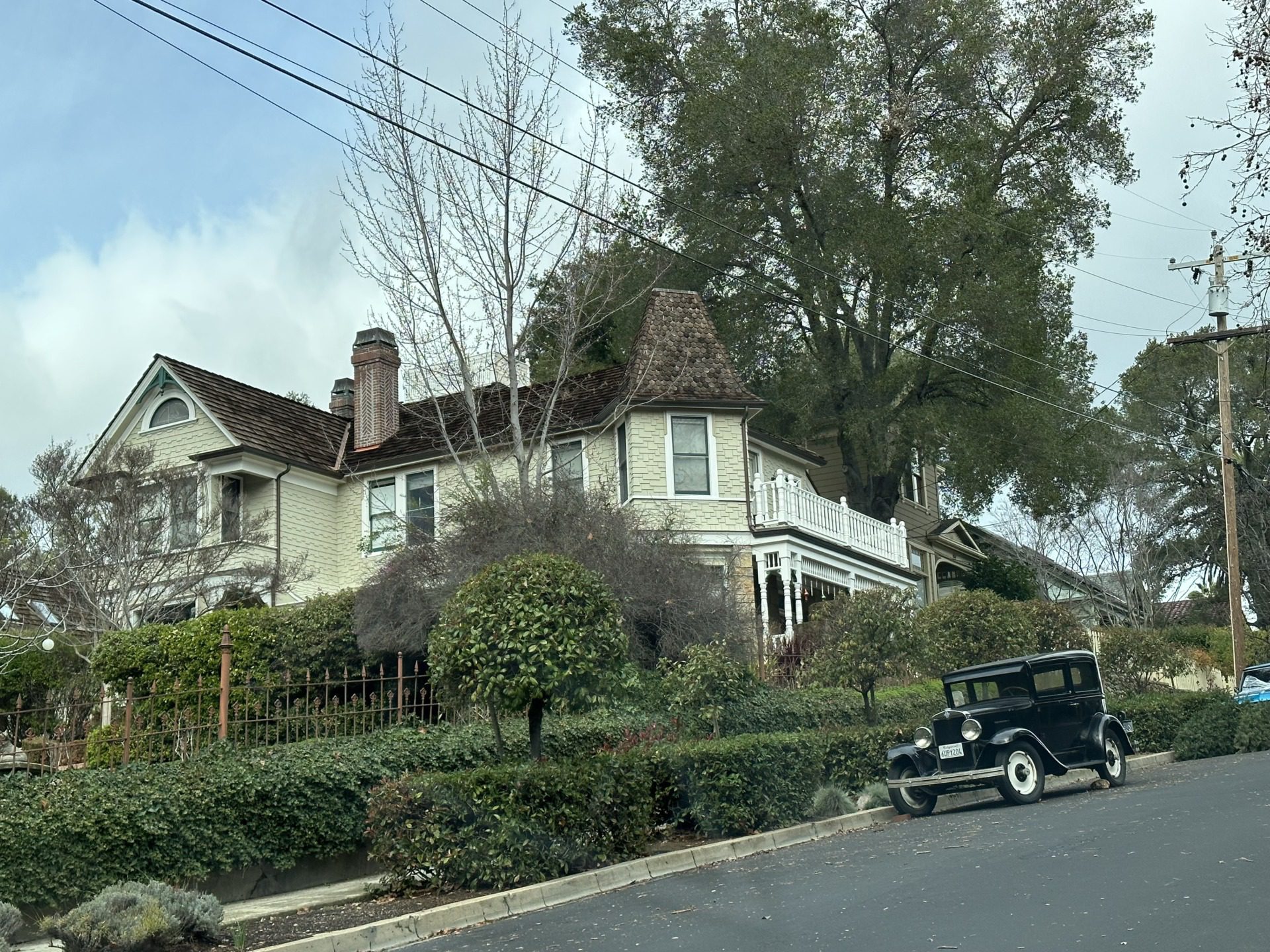 Los Gatos, fot. Aleksandra Karkowska