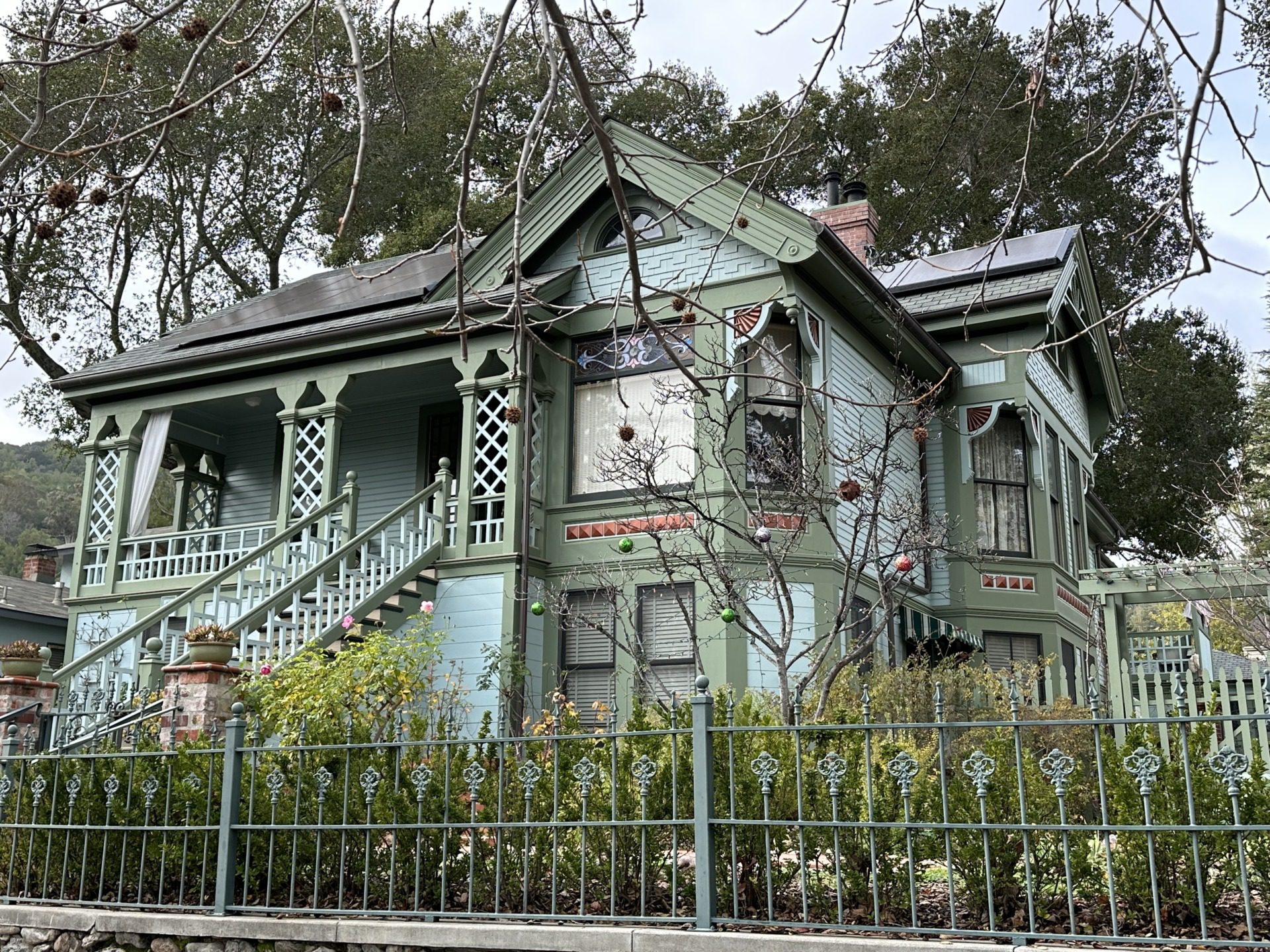 Los Gatos, fot. Aleksandra Karkowska
