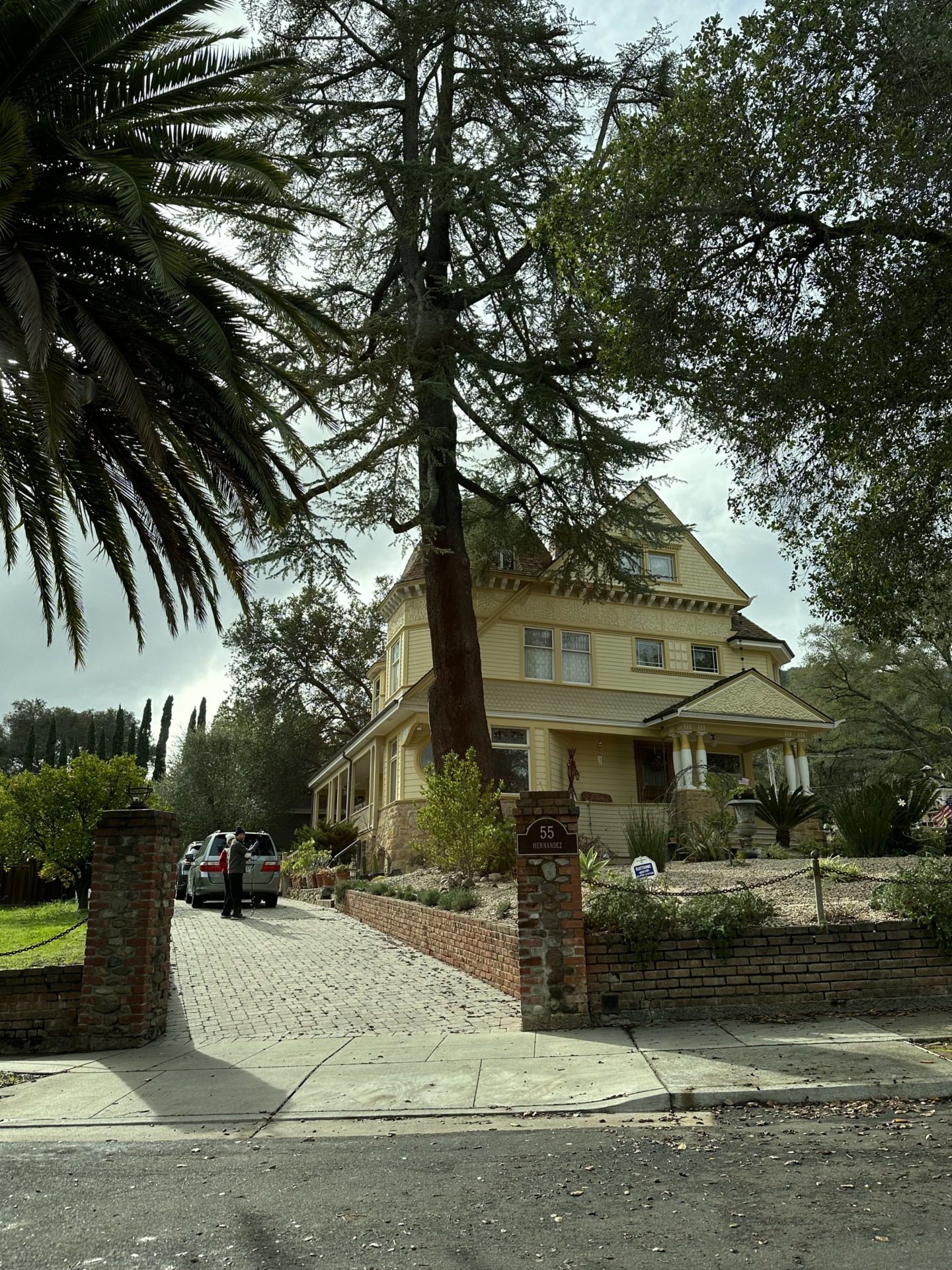 Los Gatos, fot. Aleksandra Karkowska