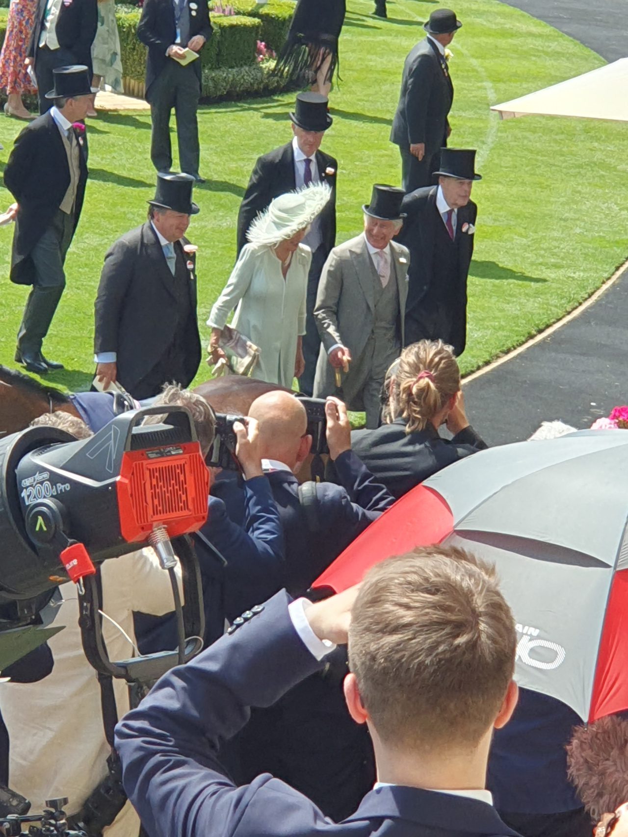 Royal Ascot, fot. Damosfera