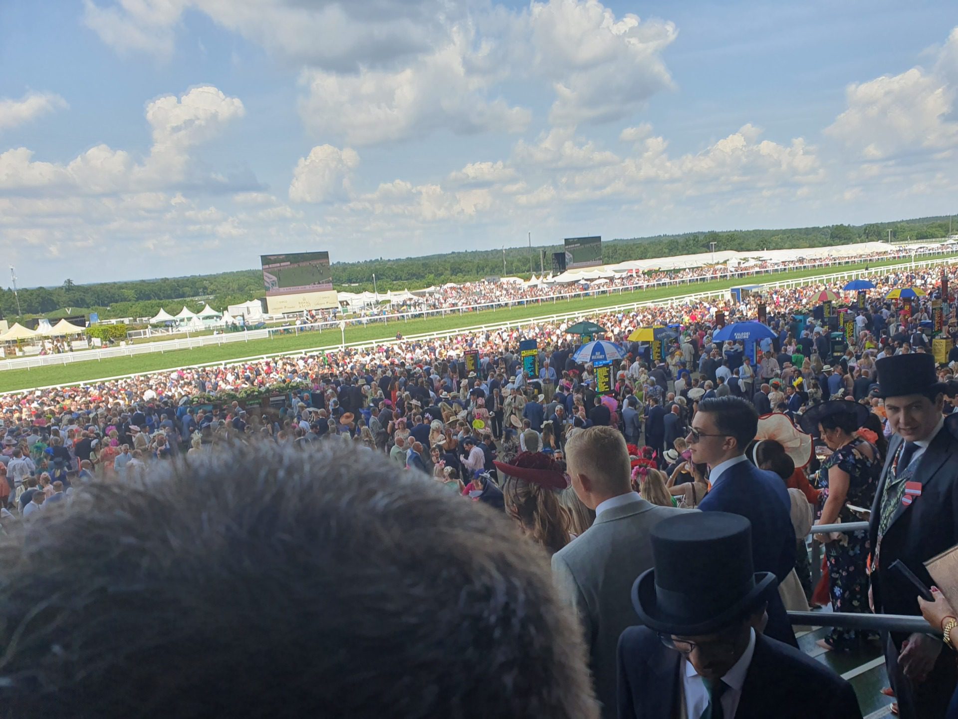 Royal Ascot, fot. Damosfera