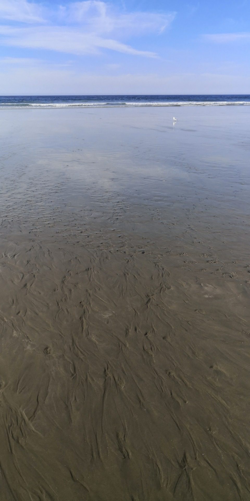 Morro Rock, fot. Aleksandra Karkowska