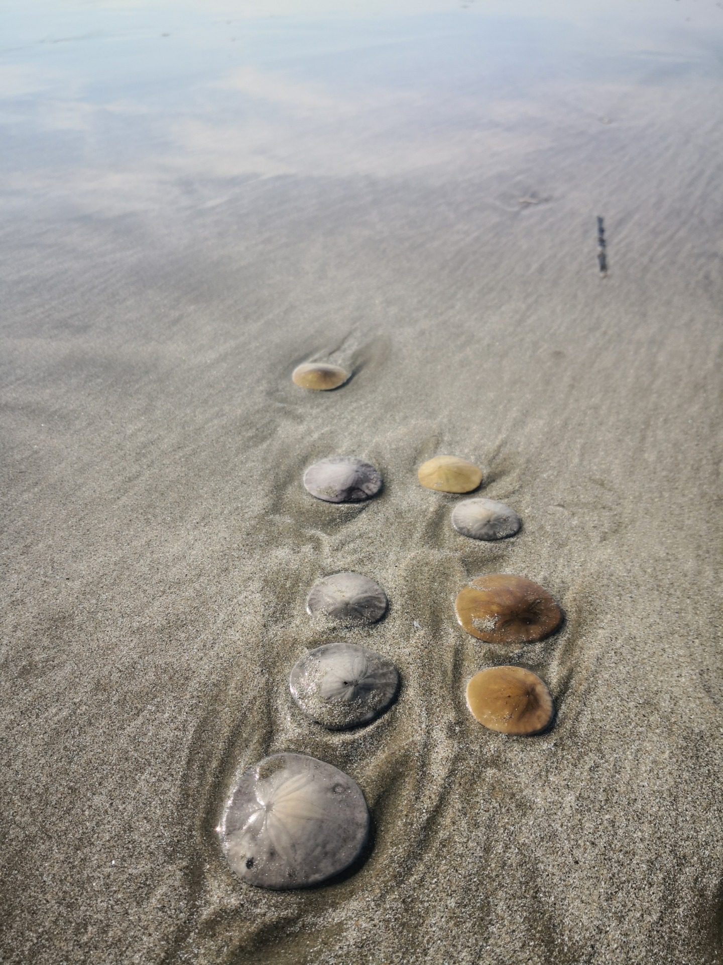 Morro Rock, fot. Aleksandra Karkowska