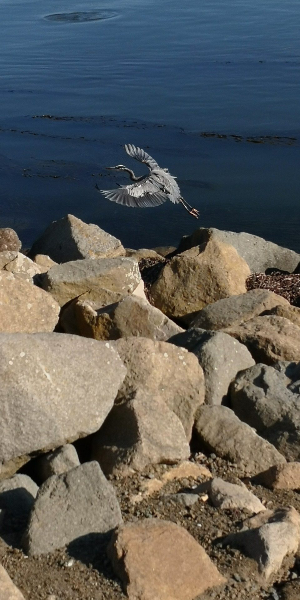 Morro Rock, fot. Aleksandra Karkowska