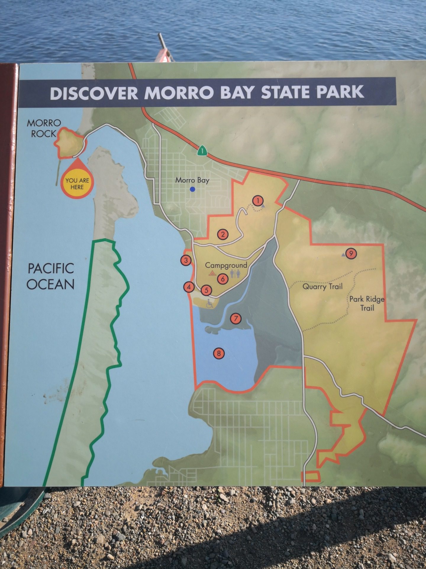 Morro Rock, fot. Aleksandra Karkowska