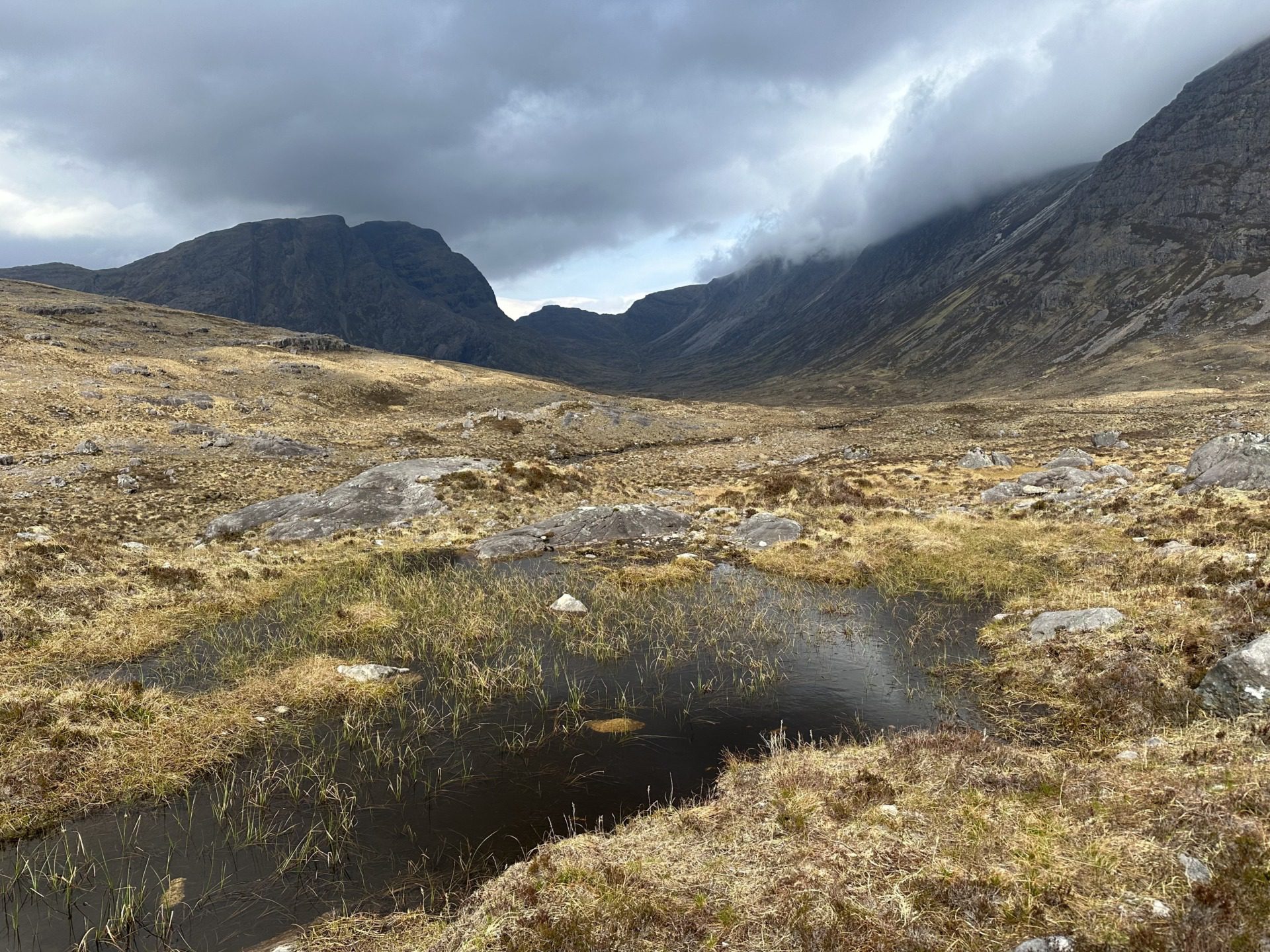 Szkockie Highland, fot. Aleksandra Karkowska
