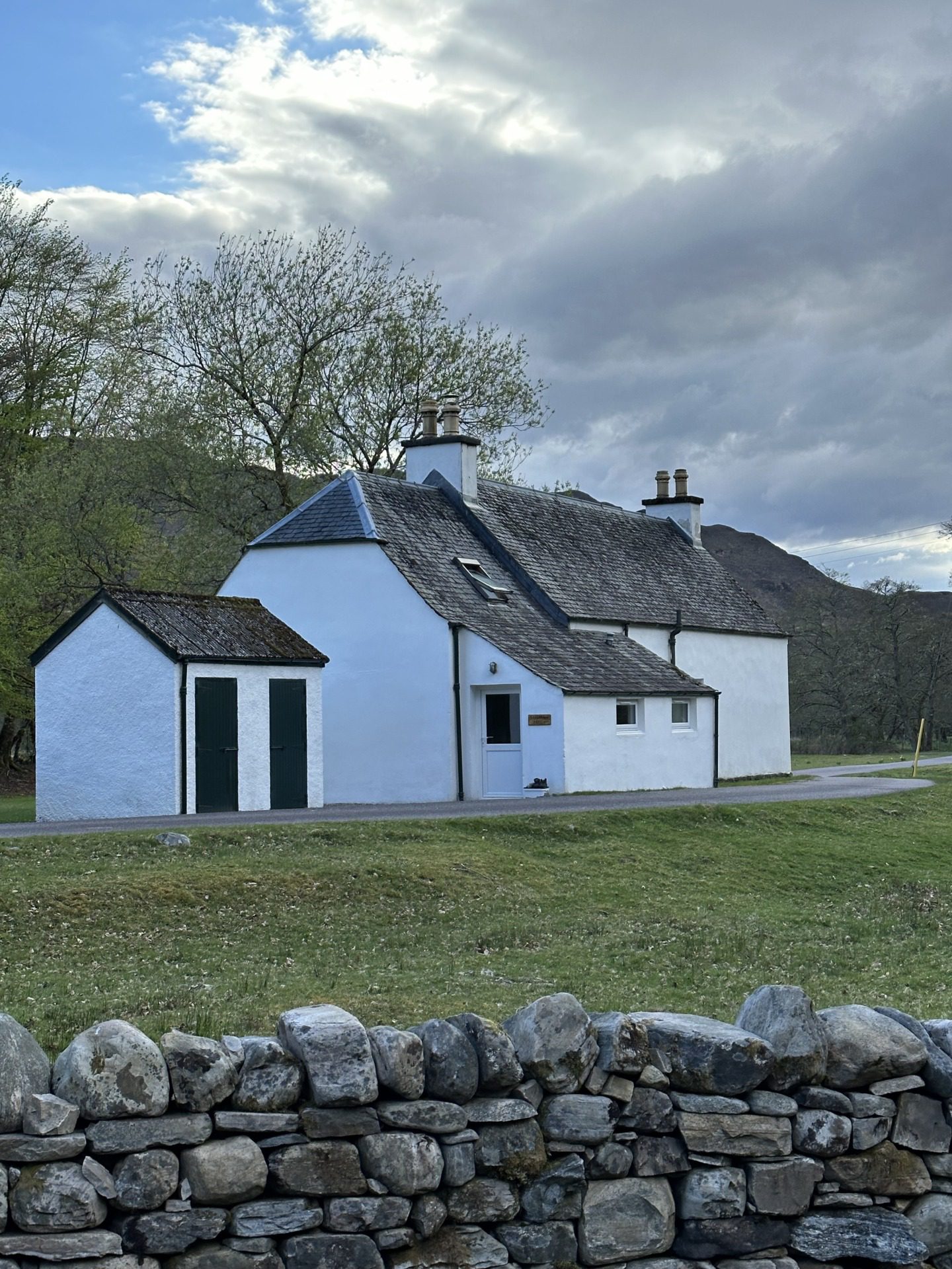 Szkockie Highland, fot. Aleksandra Karkowska
