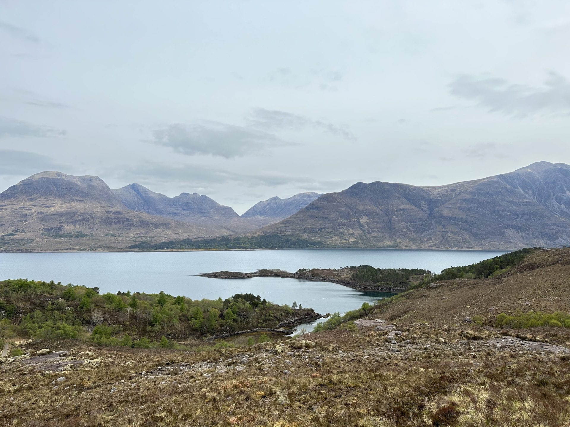 Szkockie Highland, fot. Aleksandra Karkowska