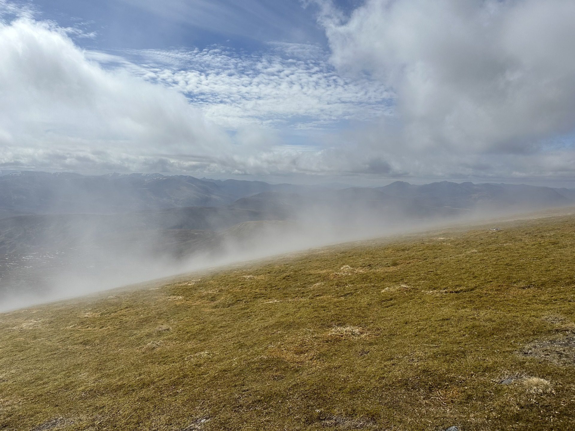 Szkockie Highland, fot. Aleksandra Karkowska