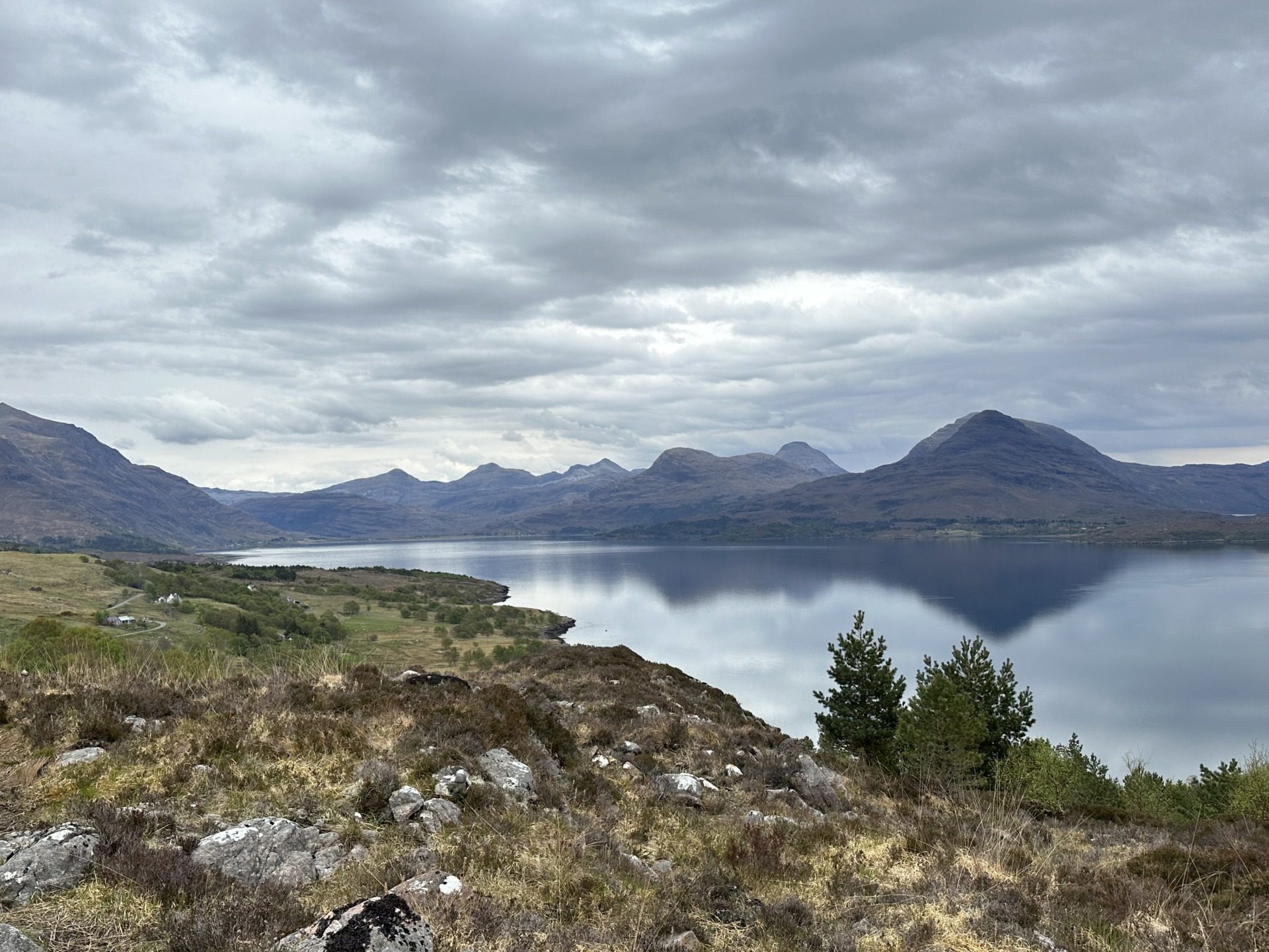 Szkockie Highland, fot. Aleksandra Karkowska