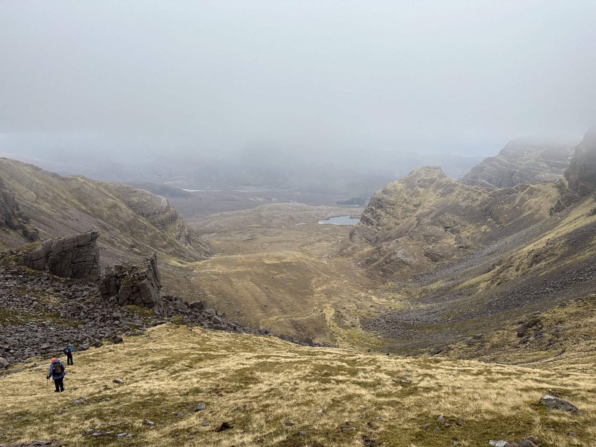 Szkockie Highland, fot. Aleksandra Karkowska