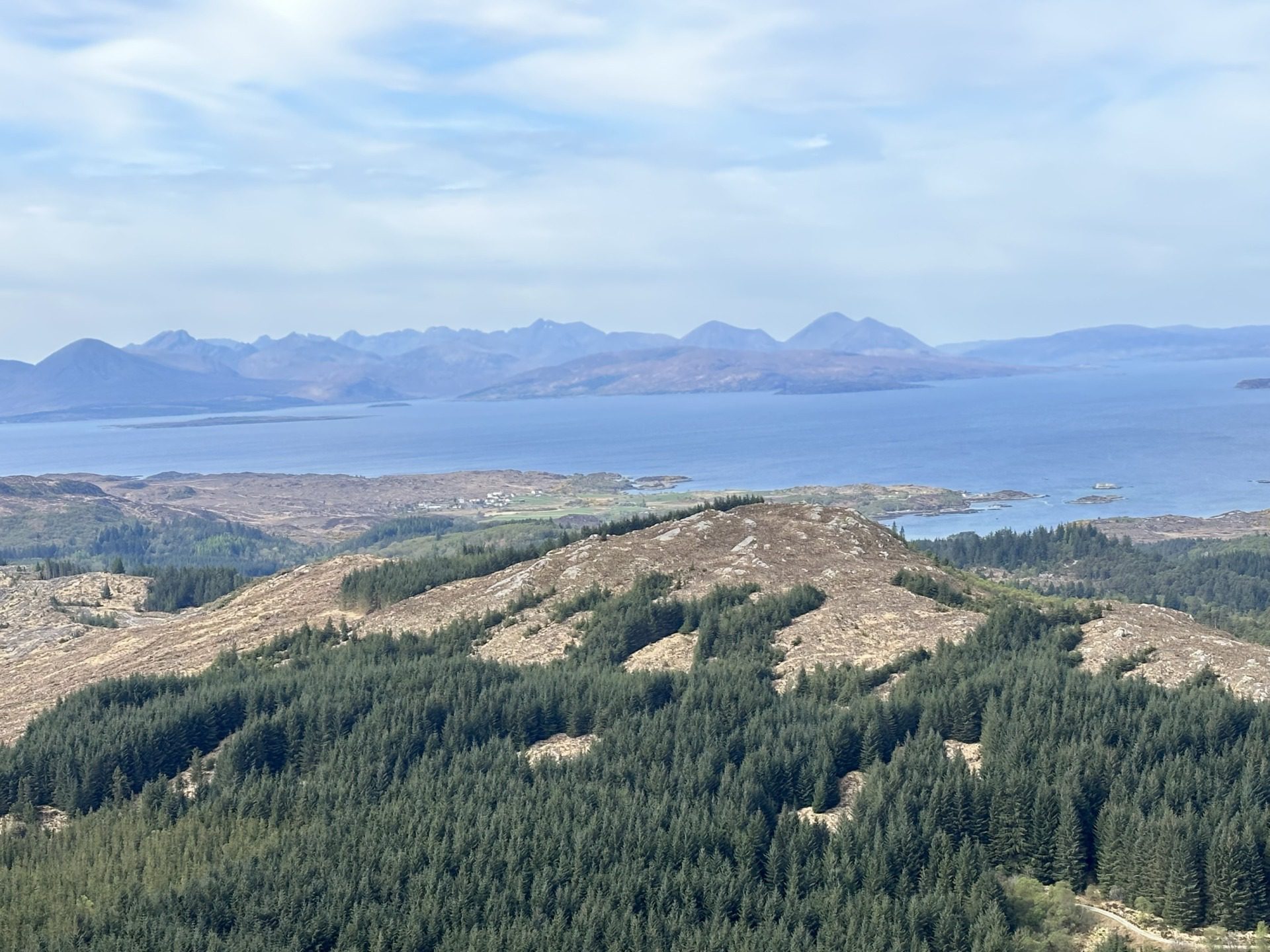Szkockie Highland, fot. Aleksandra Karkowska