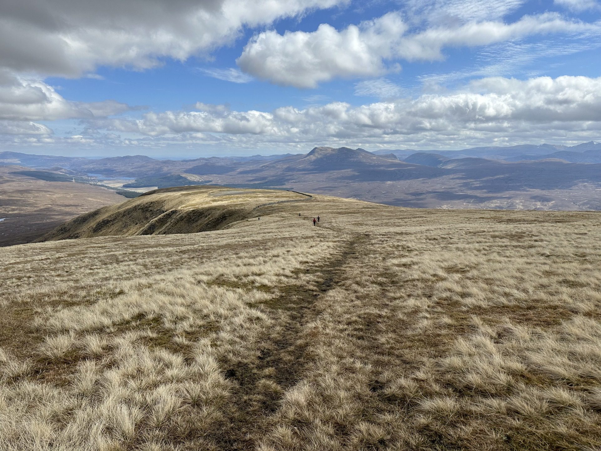 Szkockie Highland, fot. Aleksandra Karkowska