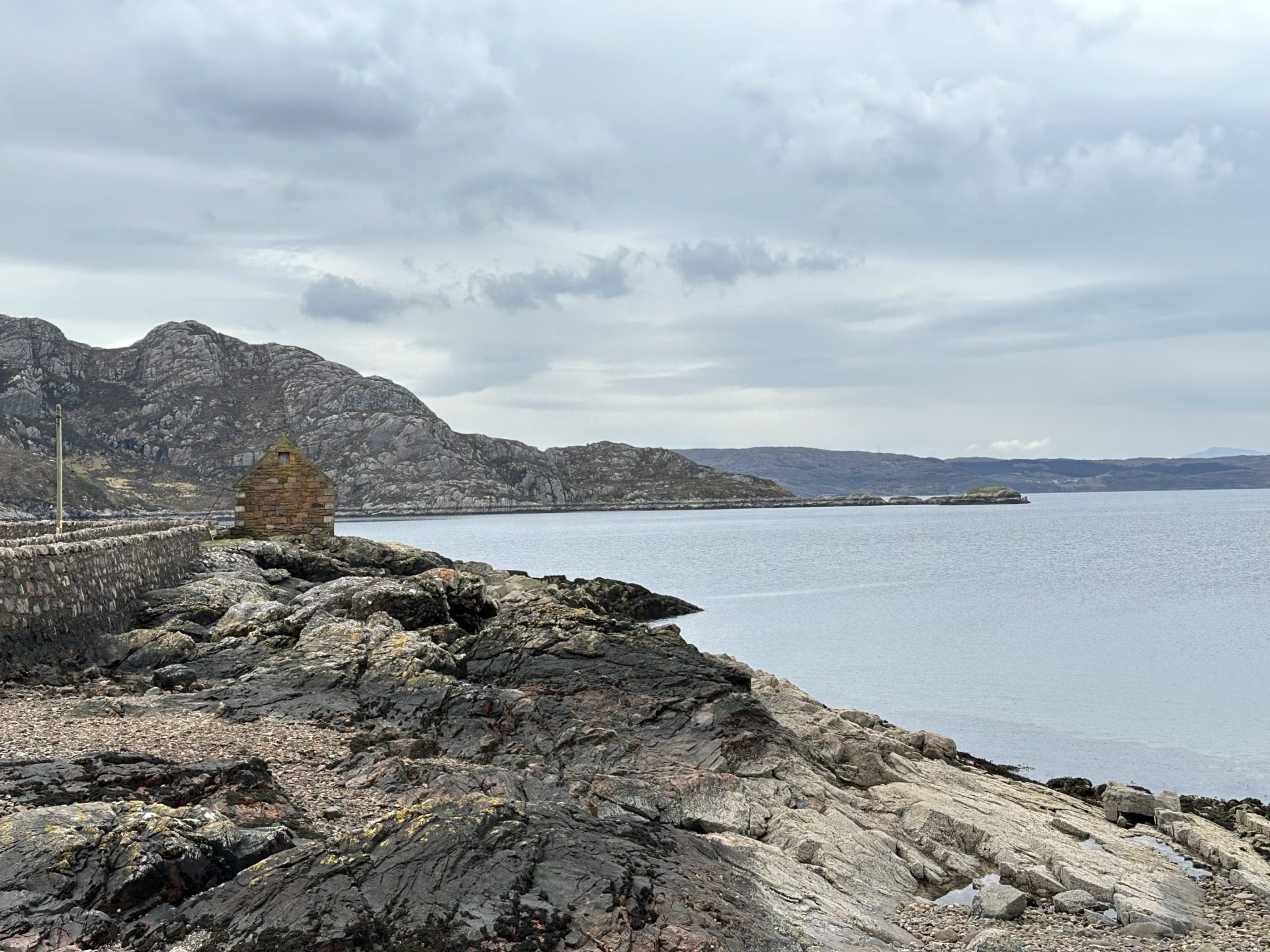 Szkockie Highland, fot. Aleksandra Karkowska