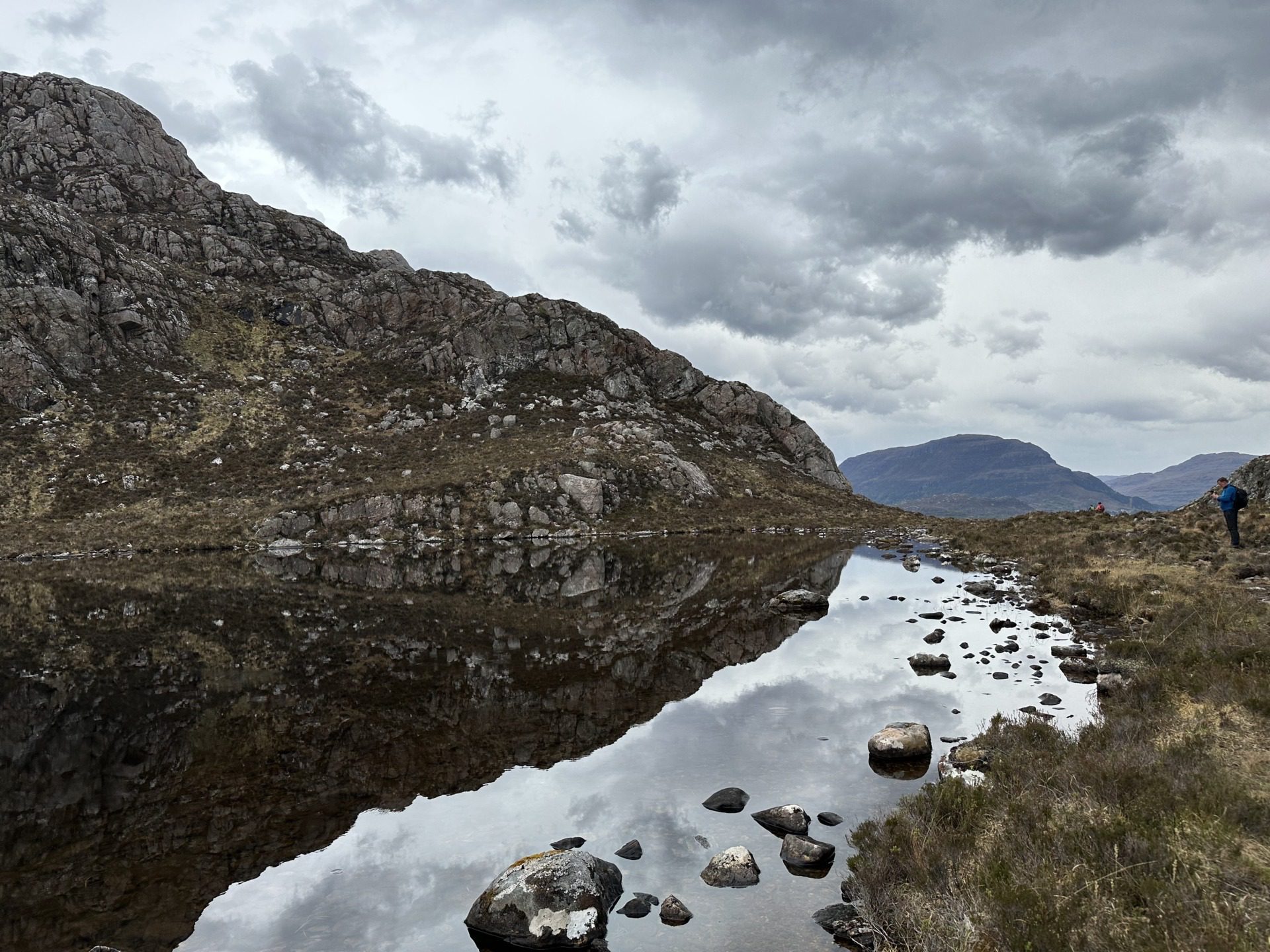 Szkockie Highland, fot. Aleksandra Karkowska