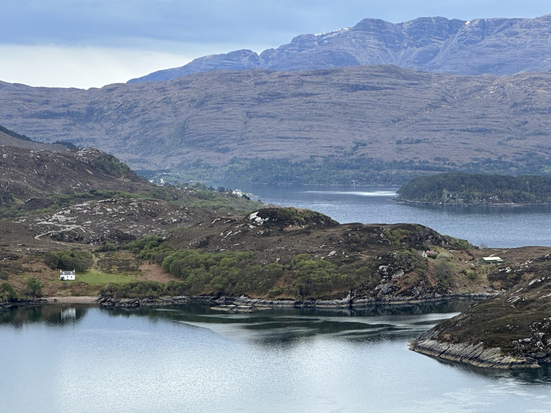 Szkockie Highland, fot. Aleksandra Karkowska