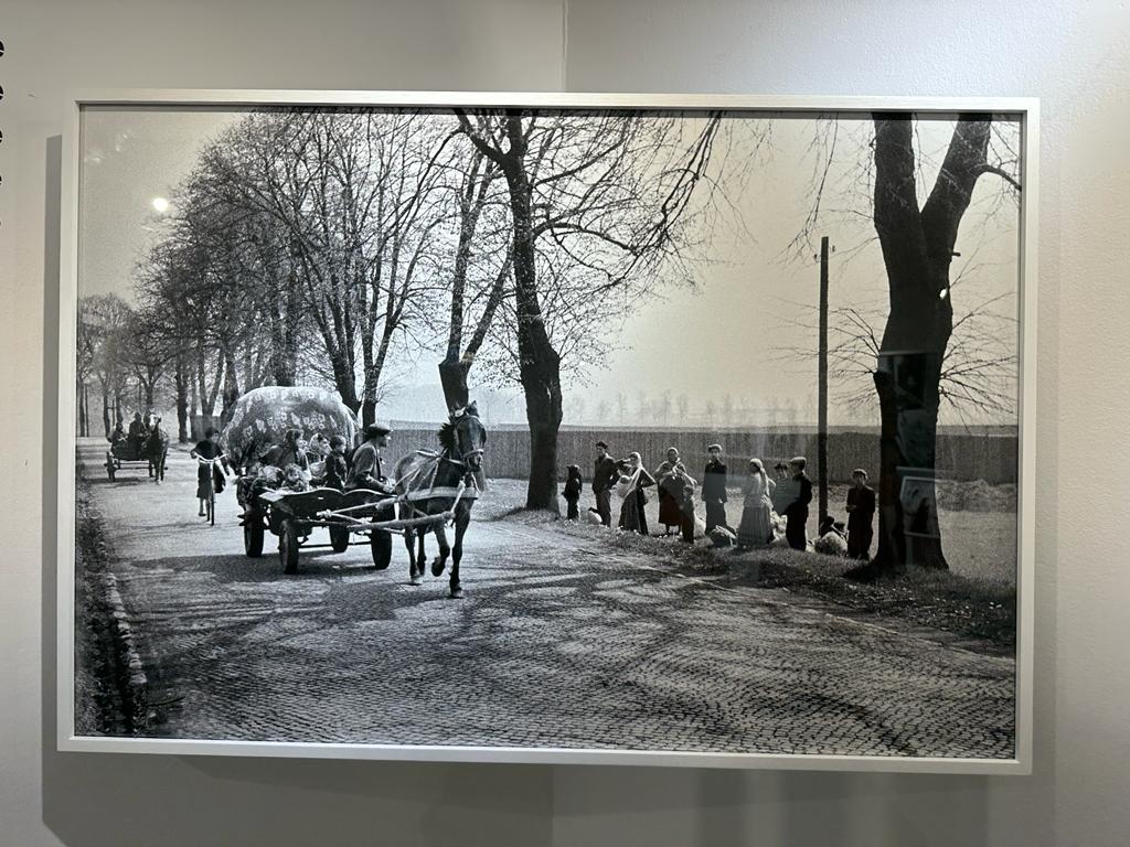 Pozowane, podpatrzone. Fotografie Wojciecha Plewińskiego wystawa w DSH, fot. Aleksandra Karkowska