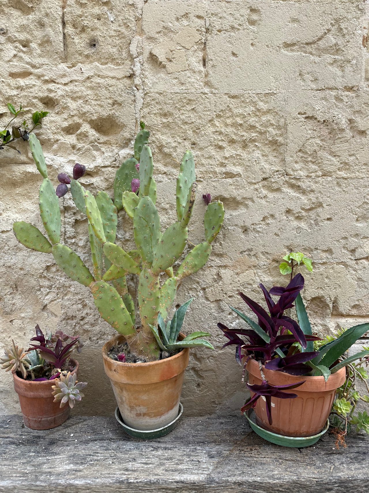 Matera, fot. Aleksandra Karkowska