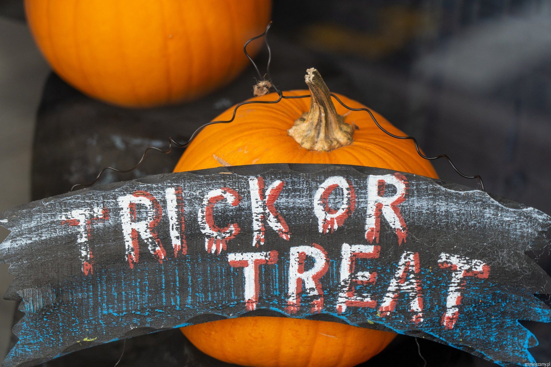 Halloween, fot. Unsplash