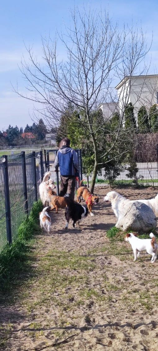 Ulfik. Zakątek dla zwierzątek, fot. Ula Kuleta
