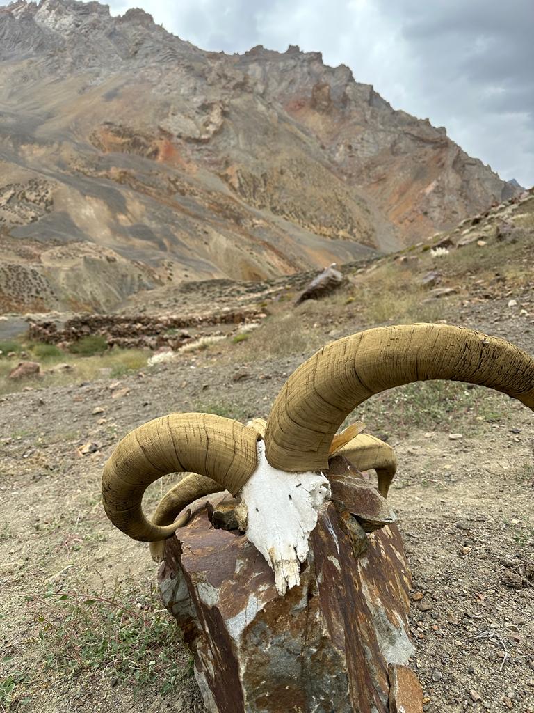 Ladakh, fot. Aleksandra Karkowska