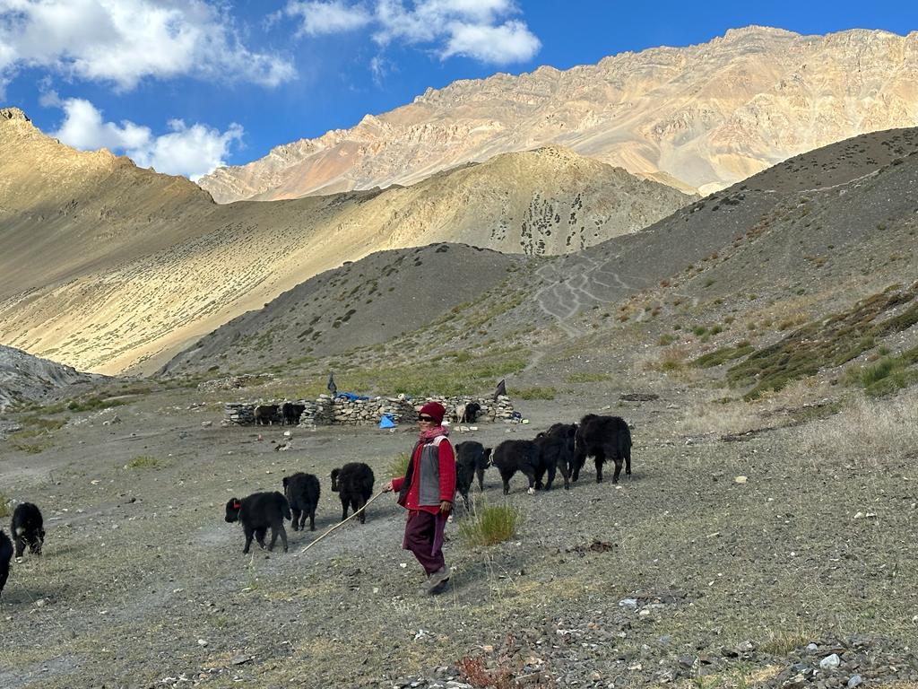 Ladakh, fot. Aleksandra Karkowska