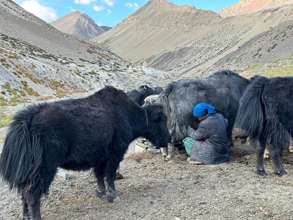 Ladakh, fot. Aleksandra Karkowska