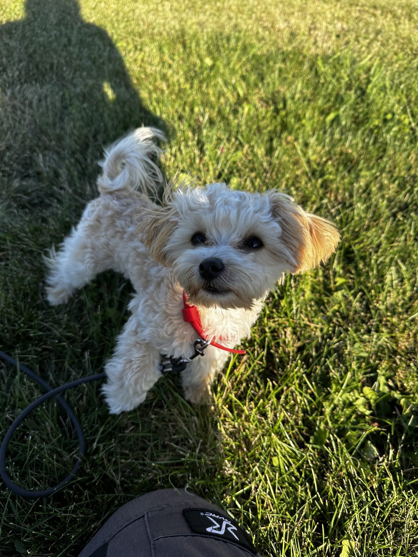 Coco, fot. Magda Czajkowska