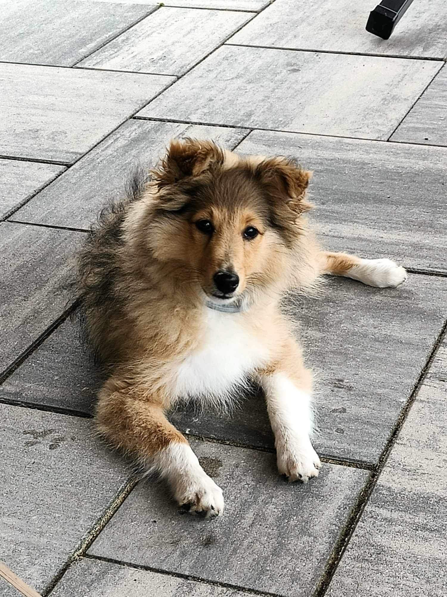 Jackie, fot. Magda Czajkowska