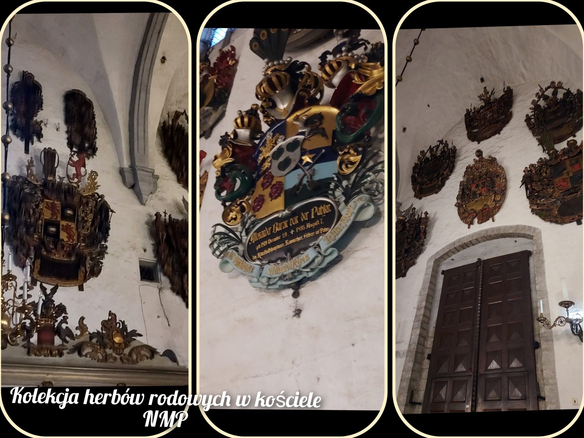 Kolekcja herbów rodowych w kościele NMP, fot. Angelika Grobelna