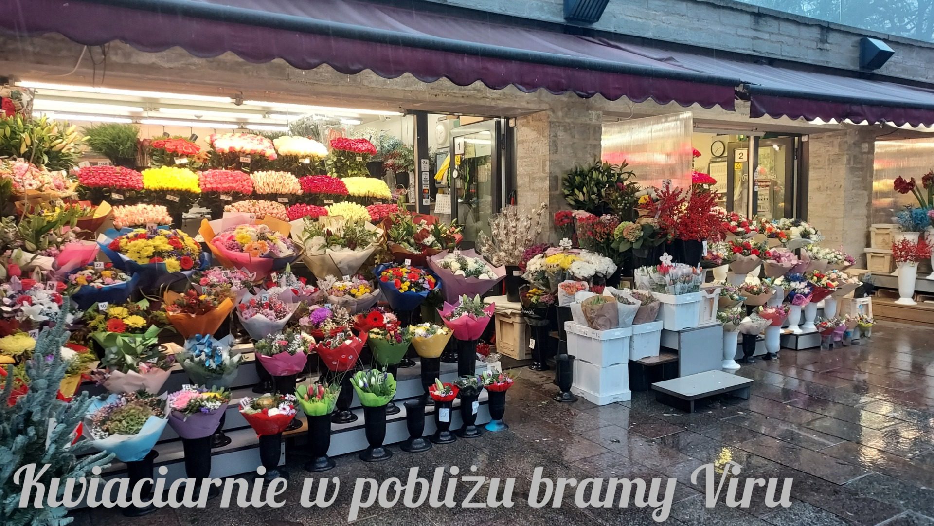 Kwiaciarnie w pobliżu bramy Viru, fot. Angelika Grobelna