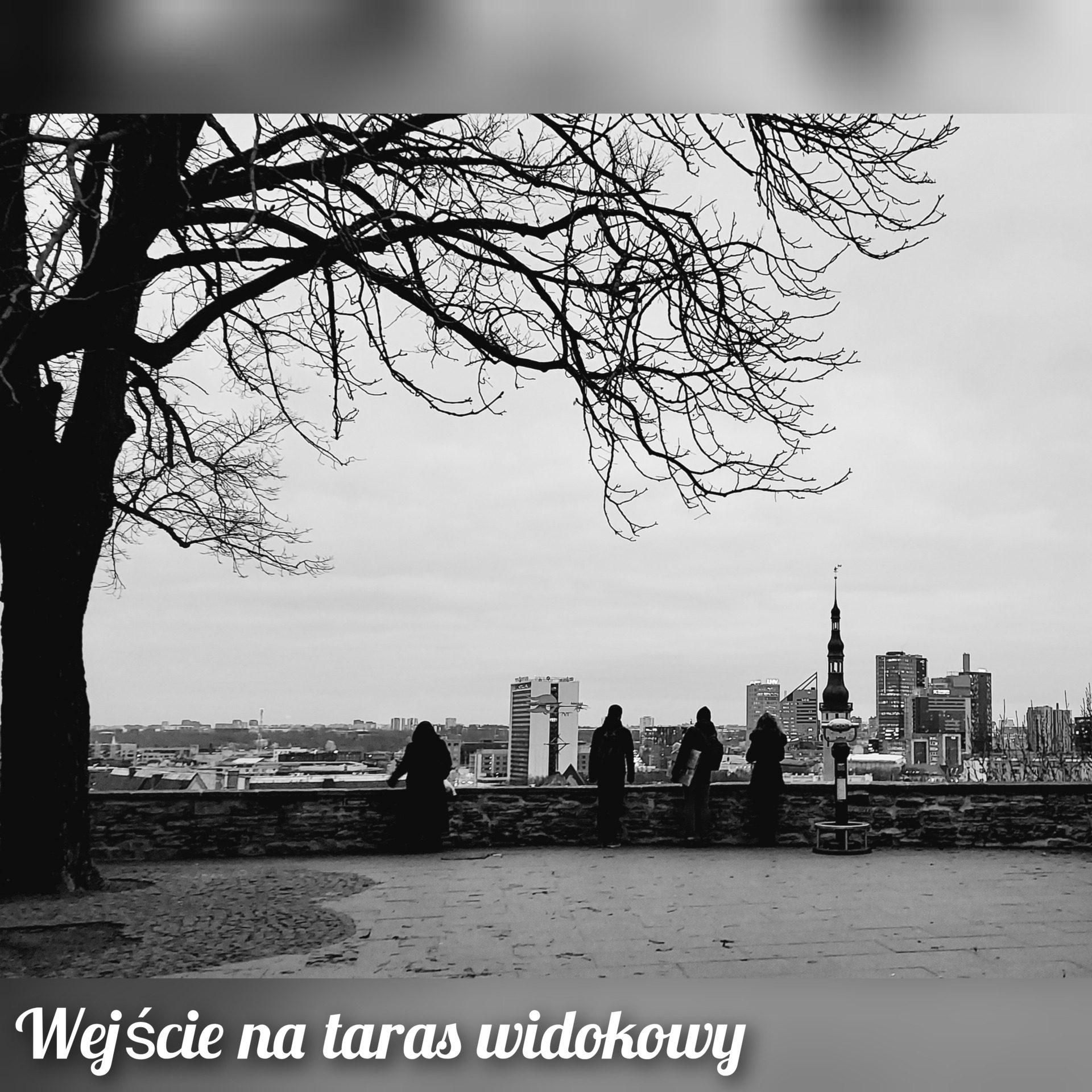 Wejście na taras widokowy, fot. Angelika Grobelna