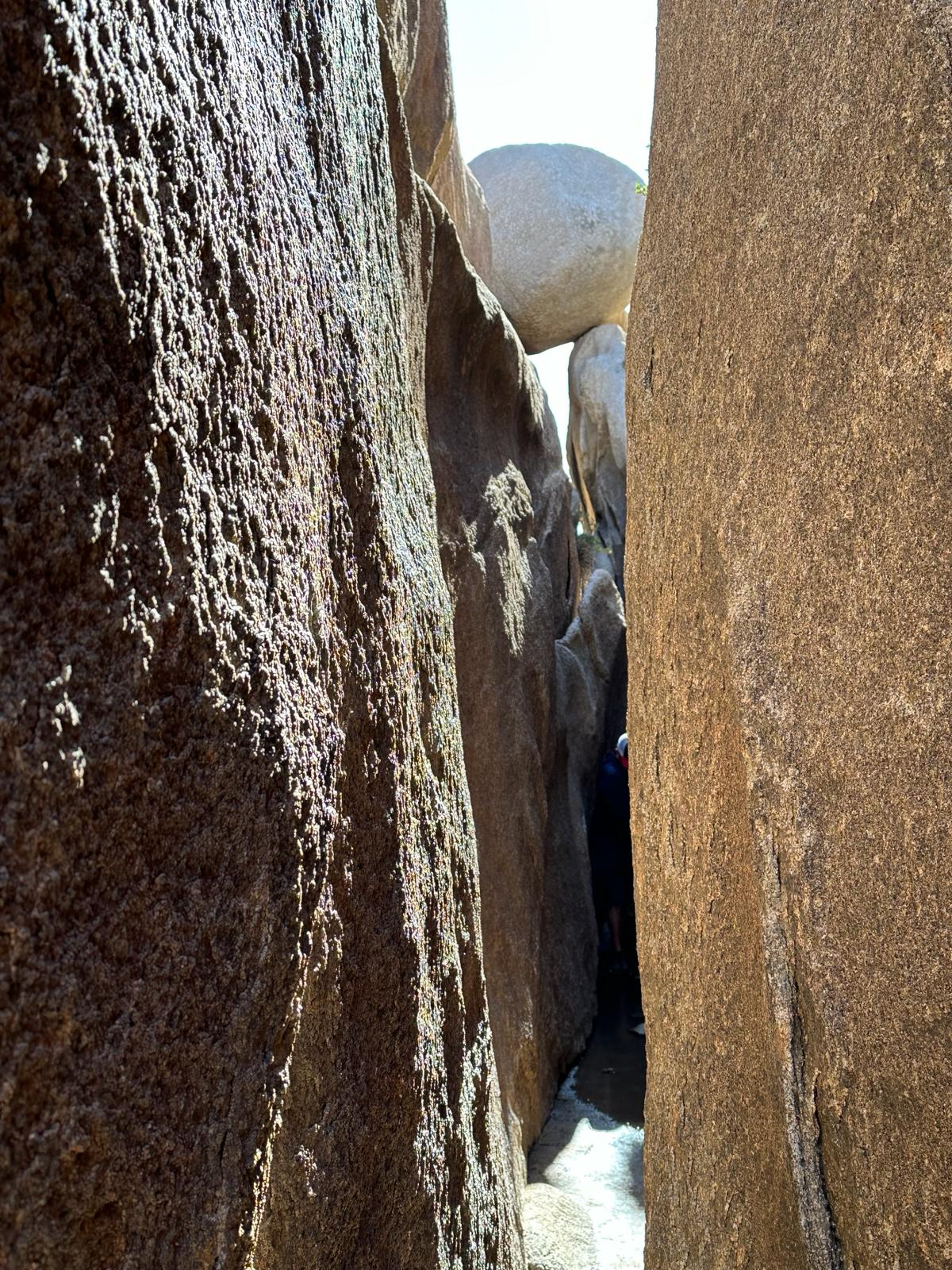 Joshua Tree National Park, fot. Aleksandra Karkowska