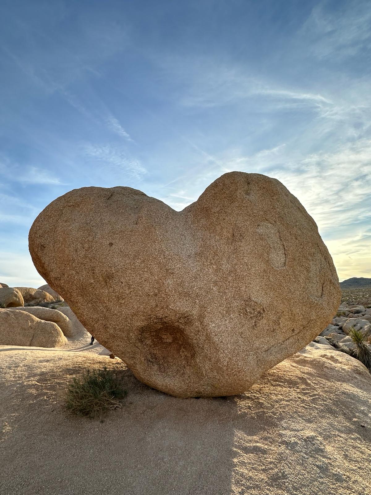 Joshua Tree National Park, fot. Aleksandra Karkowska