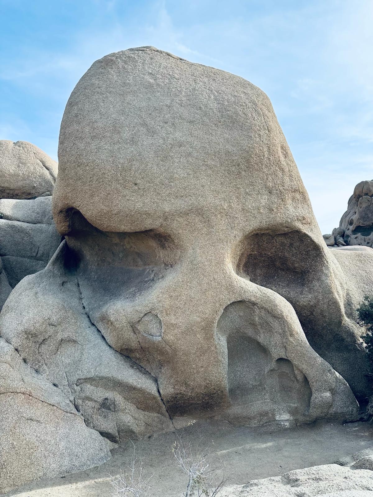 Joshua Tree National Park, fot. Aleksandra Karkowska