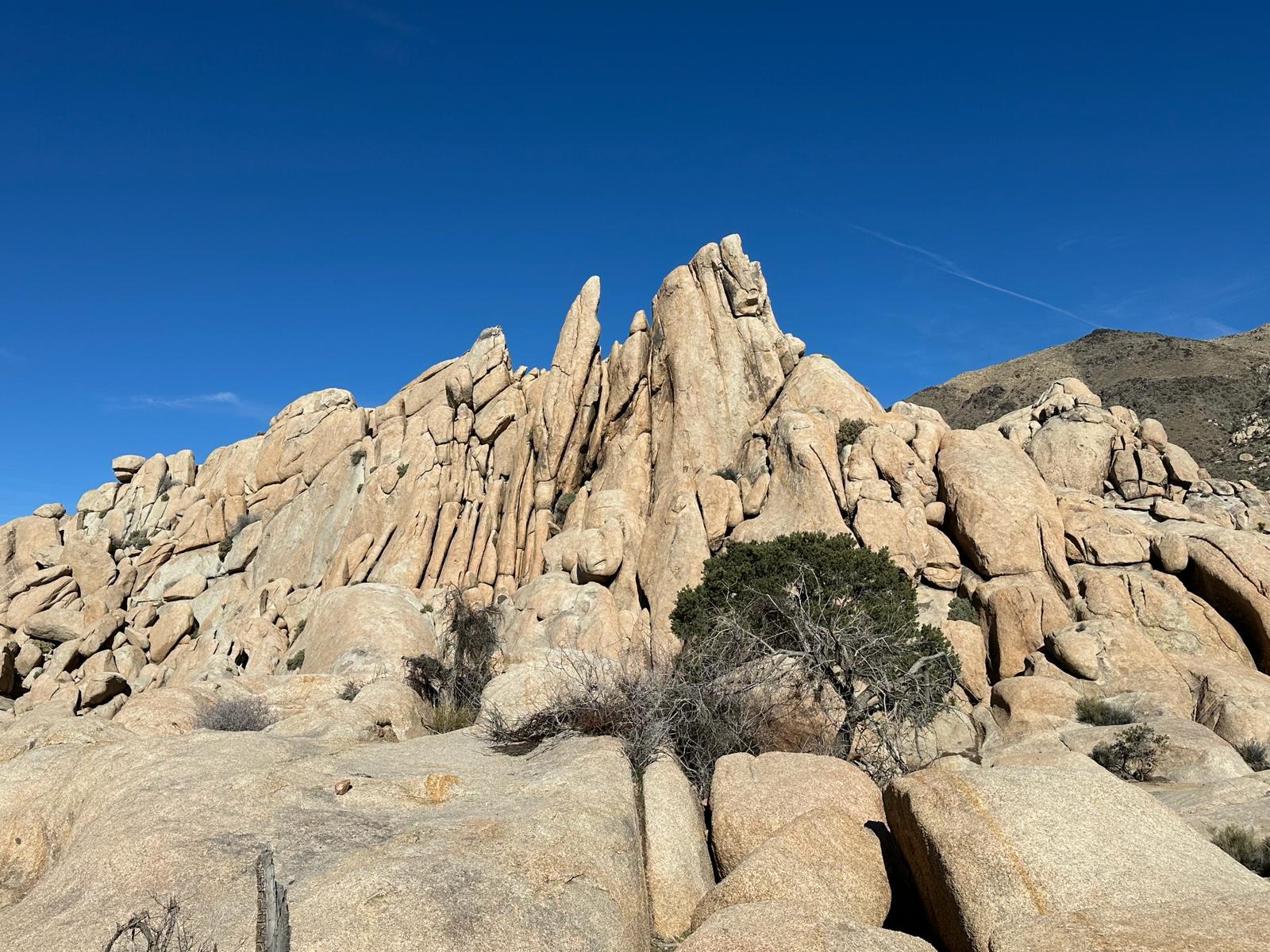 Joshua Tree National Park, fot. Aleksandra Karkowska