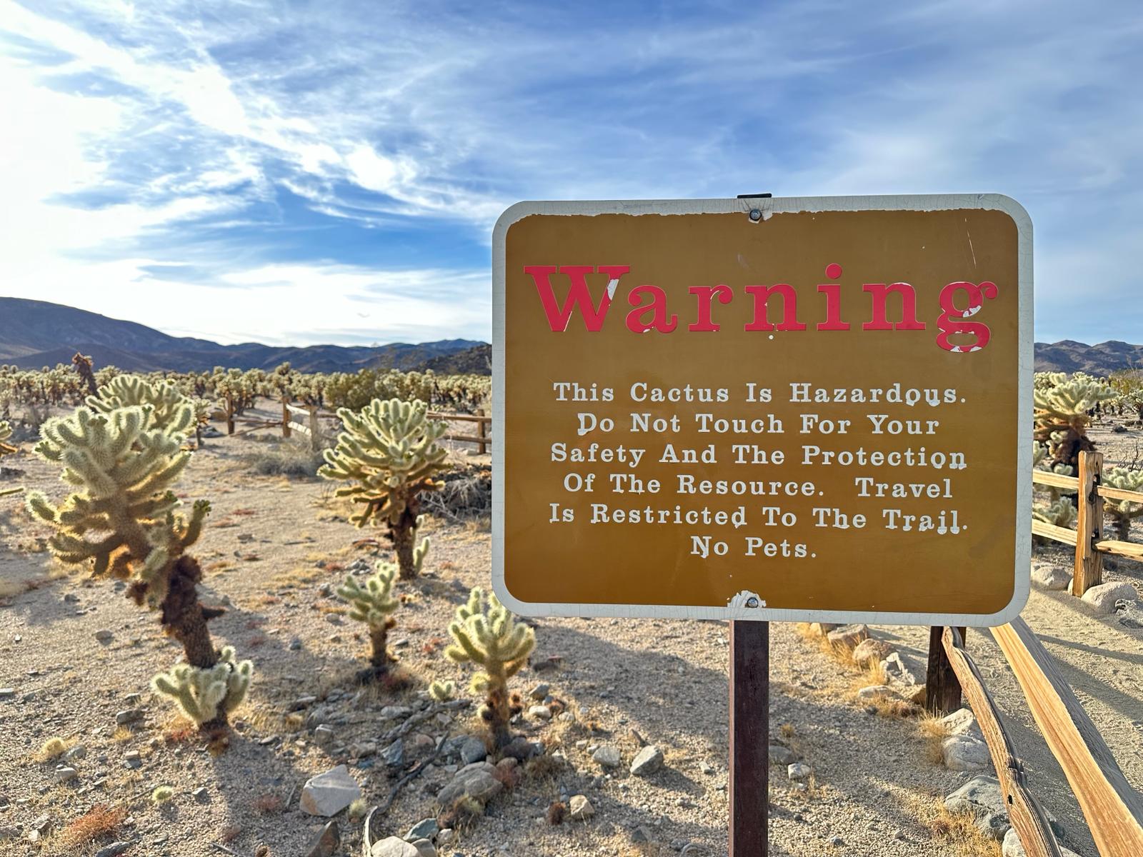 Joshua Tree National Park, fot. Aleksandra Karkowska