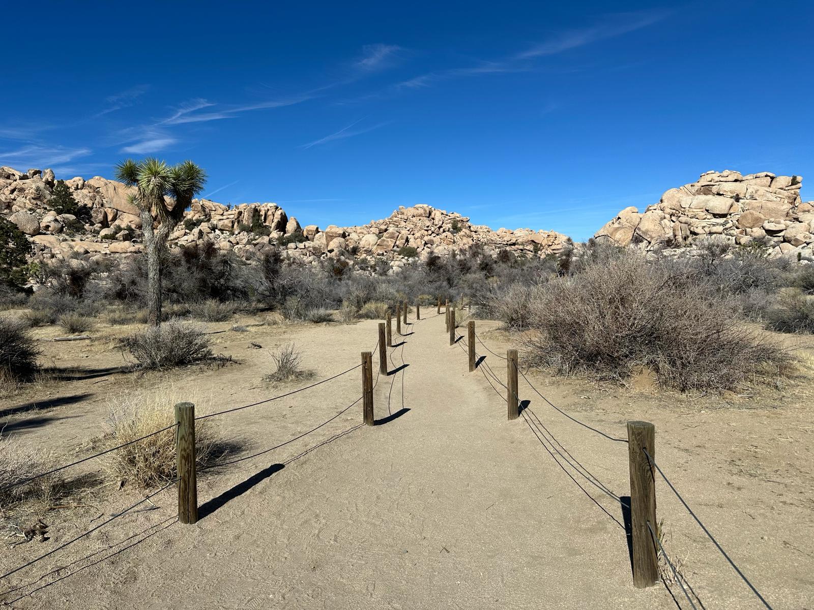 Joshua Tree National Park, fot. Aleksandra Karkowska