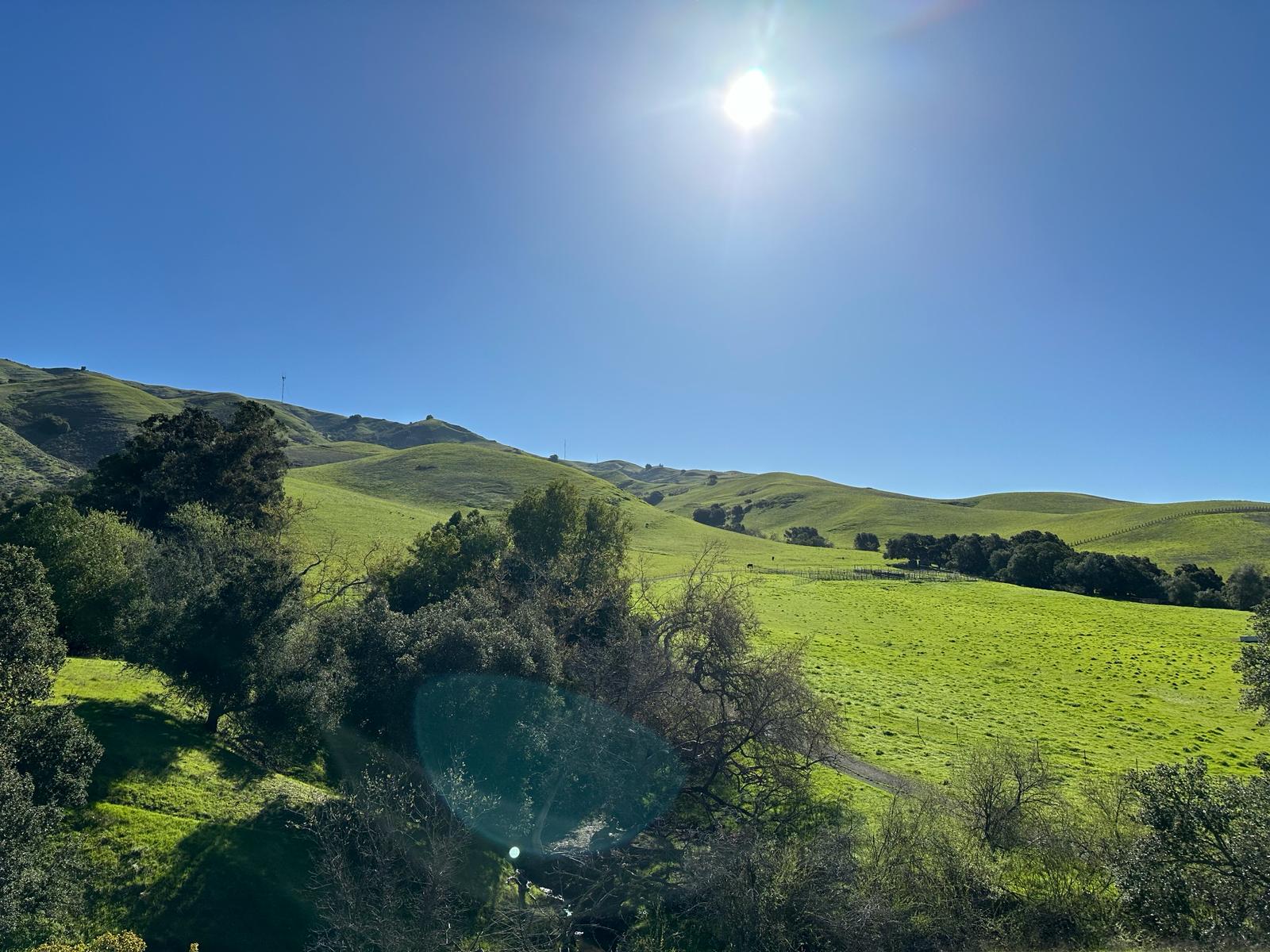 Mission Peak, fot. Aleksandra Karkowska