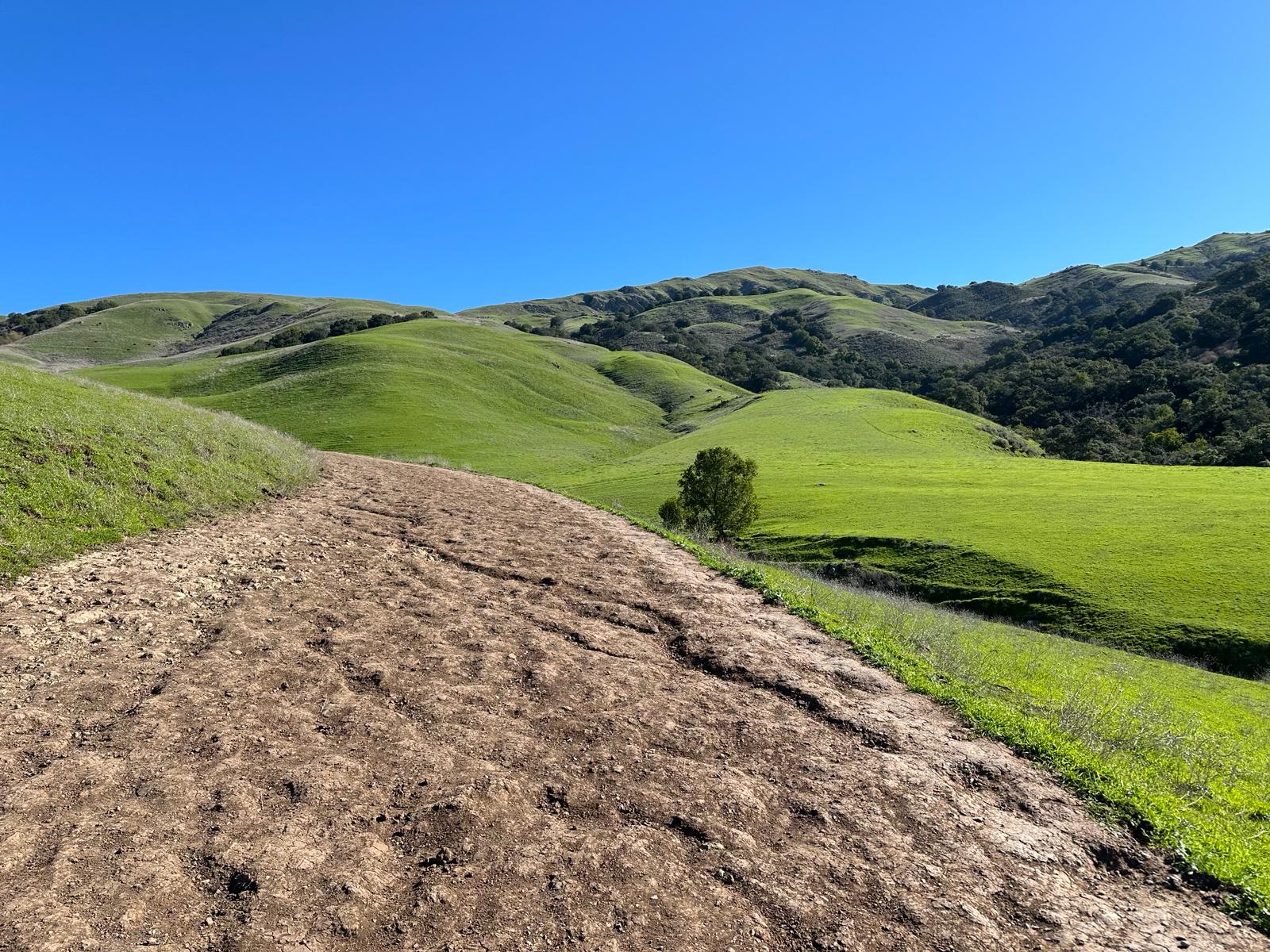 Mission Peak, fot. Aleksandra Karkowska